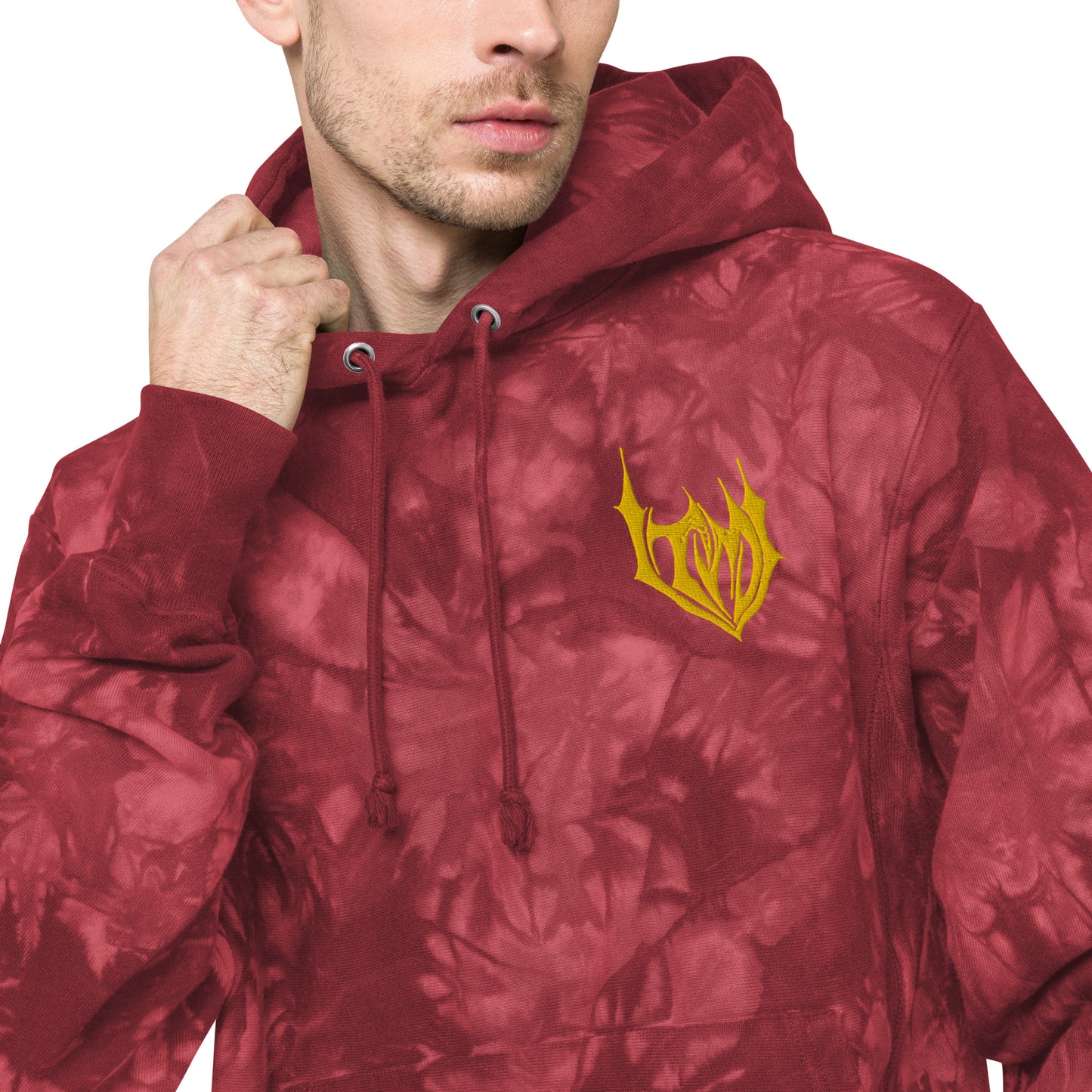 Special Edition - Unisex Champion Hoodie
